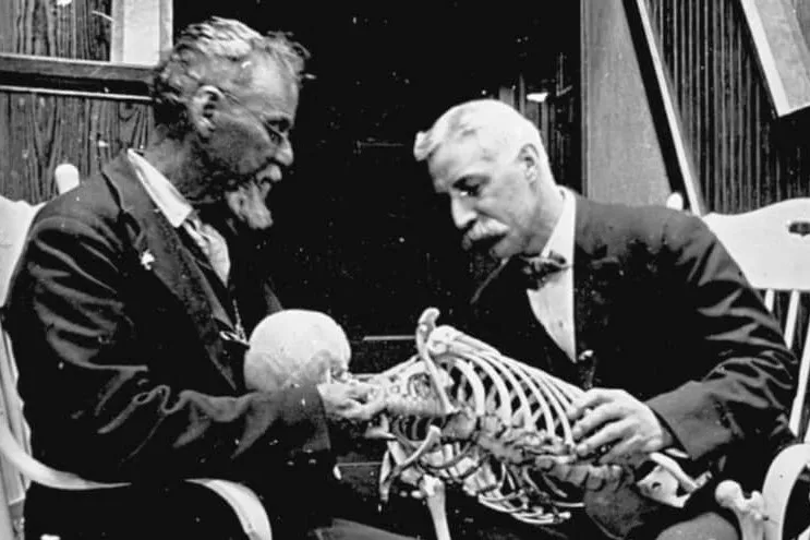 A osteopatia é uma especialidade médica?